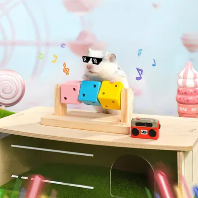 ZooVenture Jouets à mâcher pour hamster, cochon d'Inde et chinchilla