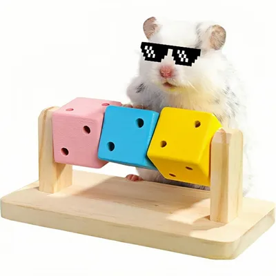 ZooVenture Juguetes para masticar para hámsteres, cobayas y chinchillas