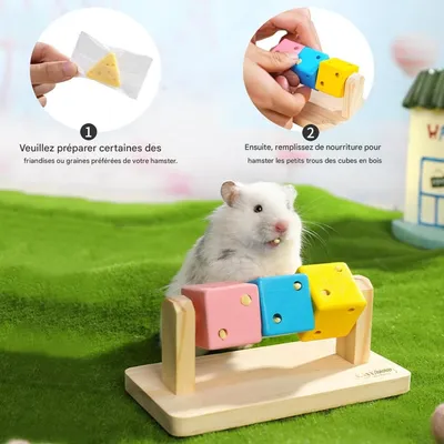ZooVenture Jouets à mâcher pour hamster, cochon d'Inde et chinchilla
