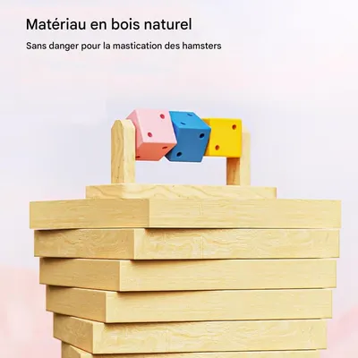 ZooVenture Jouets à mâcher pour hamster, cochon d'Inde et chinchilla