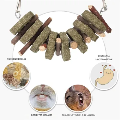 ZooVenture Juguetes masticables para animales pequeños