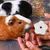 ZooVenture Pierre molaire jouet en pumice pour hamsters et petits animaux