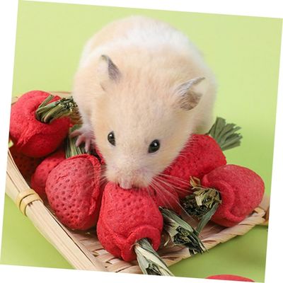 ZooVenture Jouets à mâcher pour hamster et chinchilla