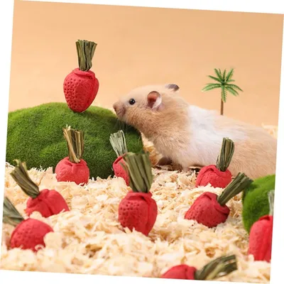 ZooVenture Jouets à mâcher pour hamster et chinchilla