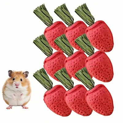 ZooVenture Juguetes para masticar para hámsteres y chinchillas