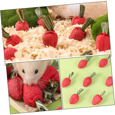 ZooVenture Jouets à mâcher pour hamster et chinchilla