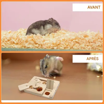 ZooVenture Jouet de recherche de nourriture pour cochons d'Inde et hamsters