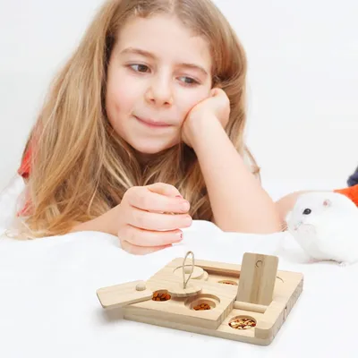 ZooVenture Jouet de recherche de nourriture pour cochons d'Inde et hamsters