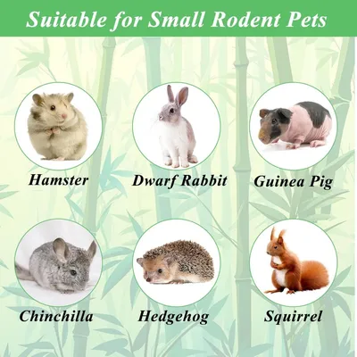 ZooVenture Bâtonnets à mâcher friandises dentaires 500g pour hamster