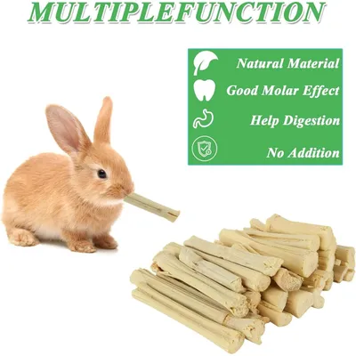 ZooVenture Bâtonnets à mâcher friandises dentaires 500g pour hamster