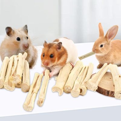 ZooVenture Bâtonnets à mâcher friandises dentaires 500g pour hamster
