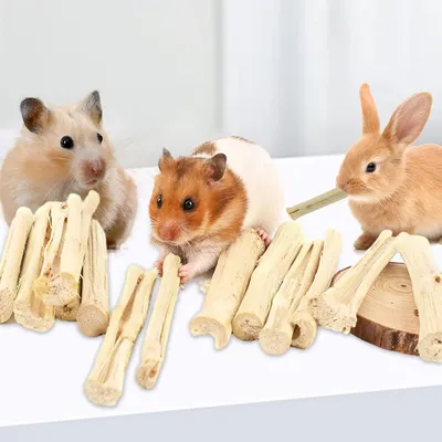 ZooVenture Bâtonnets à mâcher friandises dentaires 500g pour hamster