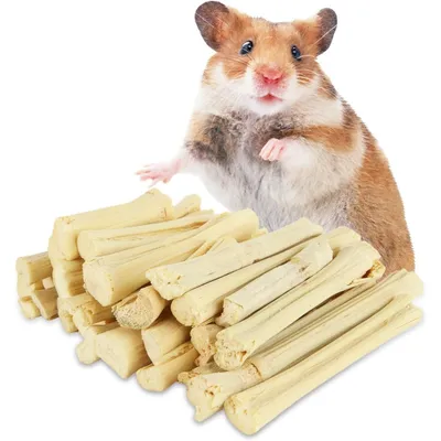 ZooVenture Palitos masticables/premios dentales de 500 g para hámsteres