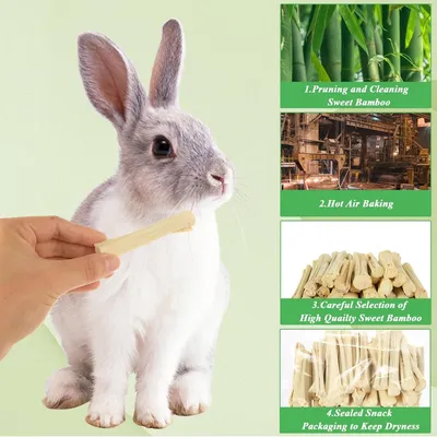 ZooVenture Bâtonnets à mâcher friandises dentaires 500g pour hamster