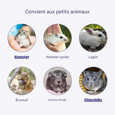 ZooVenture Juguete masticable de piedra mineral para animales pequeños