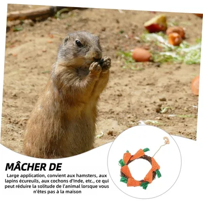 ZooVenture Juguete masticable natural para conejos, cobayas y chinchillas