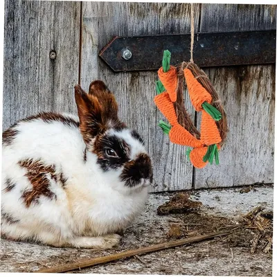ZooVenture Juguete masticable natural para conejos, cobayas y chinchillas