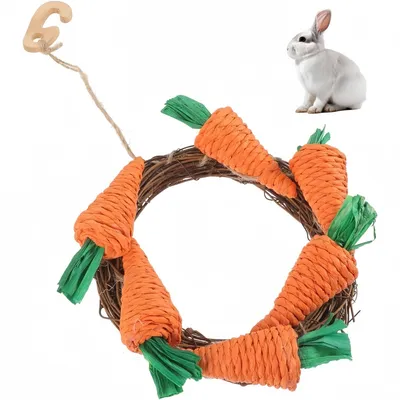 ZooVenture Juguete masticable natural para conejos, cobayas y chinchillas
