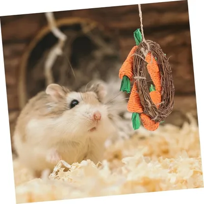 ZooVenture Naturelle Jouet À Mâcher Pour Lapins Cochons D'Inde Chinchillas