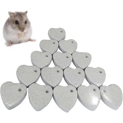 ZooVenture Pierre molaire jouet en pumice pour hamsters et petits animaux ZooVenture Pierre molaire jouet en pumice pour hamsters et petits animaux