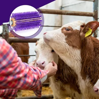 ZooVenture Double pack brosse pour bovins et chèvres