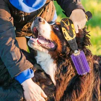 ZooVenture Double pack brosse pour bovins et chèvres