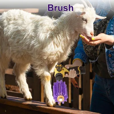 ZooVenture Double pack brosse pour bovins et chèvres