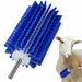 ZooVenture Mini-Rotationsbürstenaufsatz für Haustiere