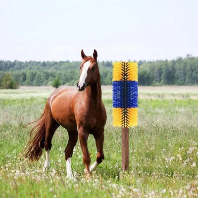 ZooVenture Grattoir universel pour chevaux