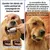 ZooVenture Souple Brosses à Dents Pour Chiens et Chats