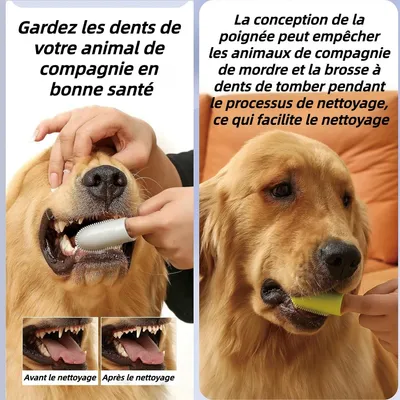 ZooVenture Souple Brosses à Dents Pour Chiens et Chats