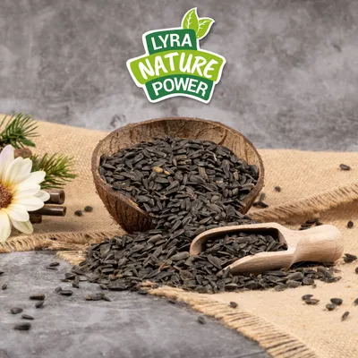 Lyra Pet® Sonnenblumenkerne schwarz