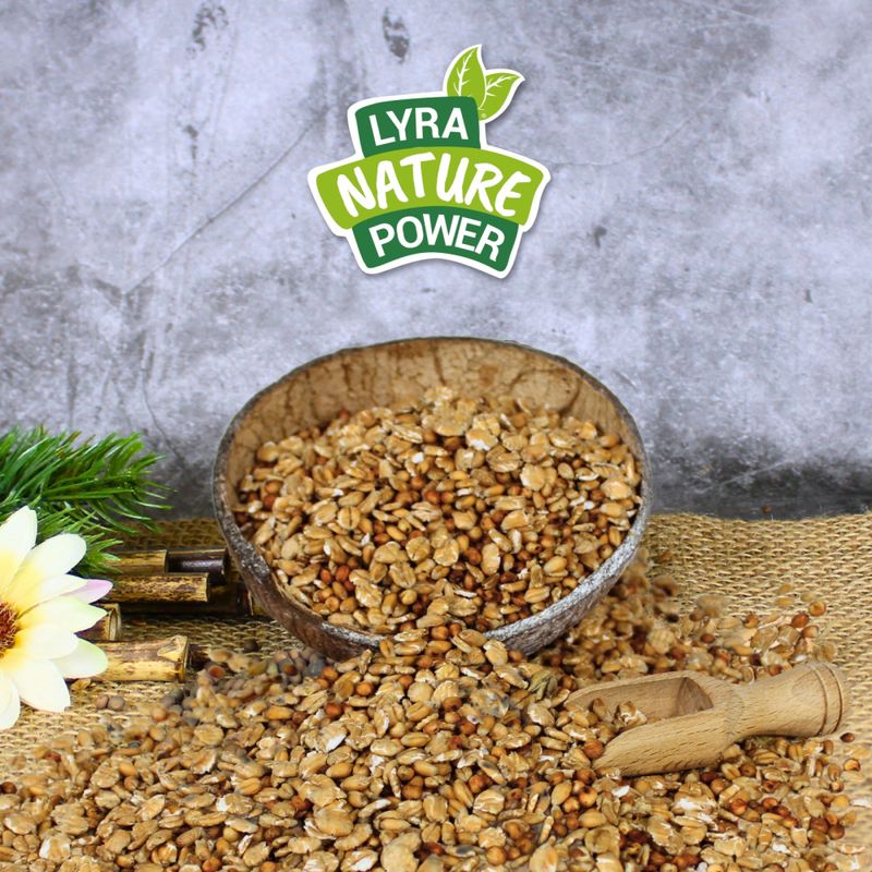 Lyra Pet® Nourriture grasse Basic