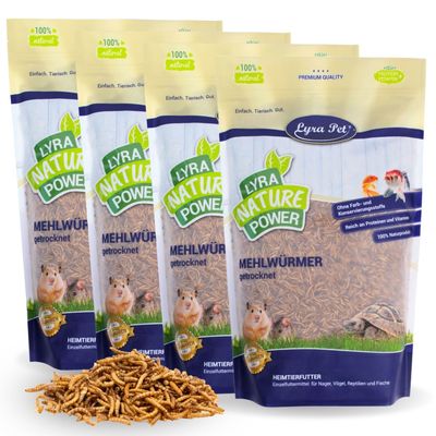 Lyra Pet® vers de farine séchés 4 x 1 kg