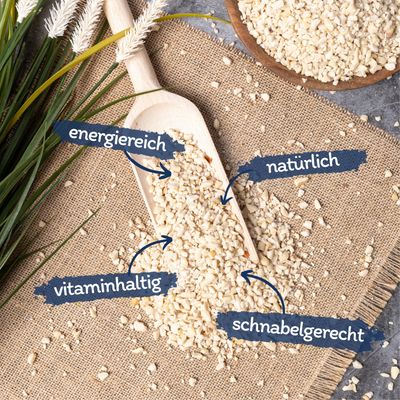 Lyra Pet® Erdnusskerne weiß gehackt