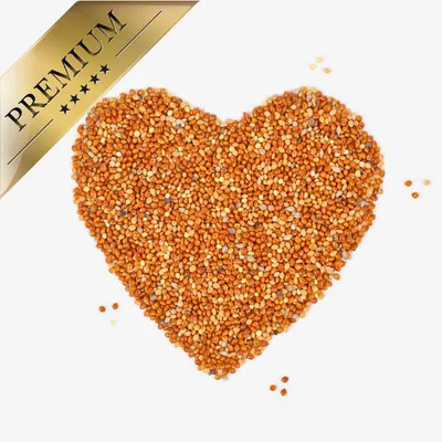 Lyra Pet® Millet rouge en vrac Lyra Pet® Millet rouge en vrac