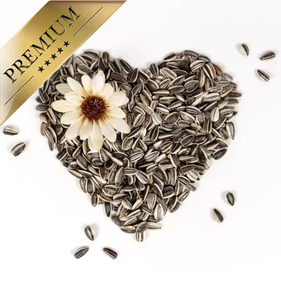 Lyra Pet® Graines de tournesol rayées Lyra Pet® Graines de tournesol rayées