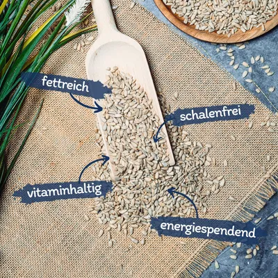 Graines de tournesol décortiquées Lyra Pet®