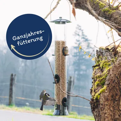 Graines de tournesol décortiquées Lyra Pet®