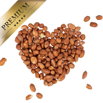 Cacahuètes Lyra Pet® avec peau