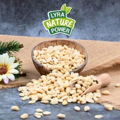 Lyra Pet® Cerneaux de noix demi-blanchis