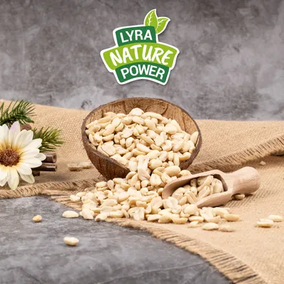 Lyra Pet® Ernusskerne halbe blanchiert