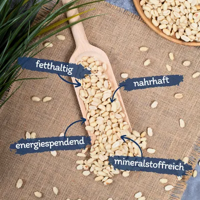 Lyra Pet® Cerneaux de noix demi-blanchis