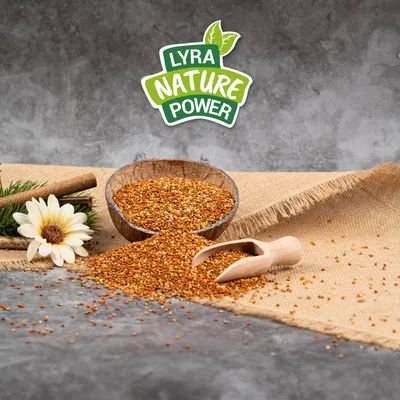 Lyra Pet® Millet rouge en vrac Lyra Pet® Millet rouge en vrac
