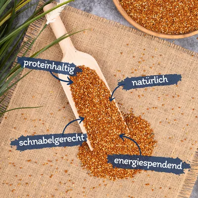 Lyra Pet® Millet rouge en vrac