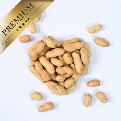 Cacahuètes en gousse Lyra Pet®