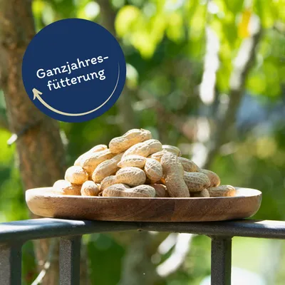 Cacahuètes en gousse Lyra Pet®