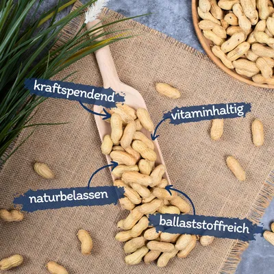 Cacahuètes en gousse Lyra Pet®