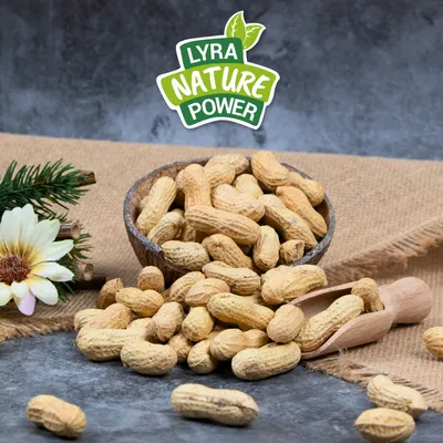 Cacahuètes en gousse Lyra Pet®