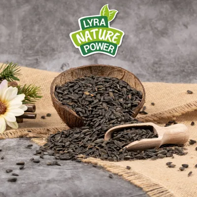 Lyra Pet® Graines de tournesol noires